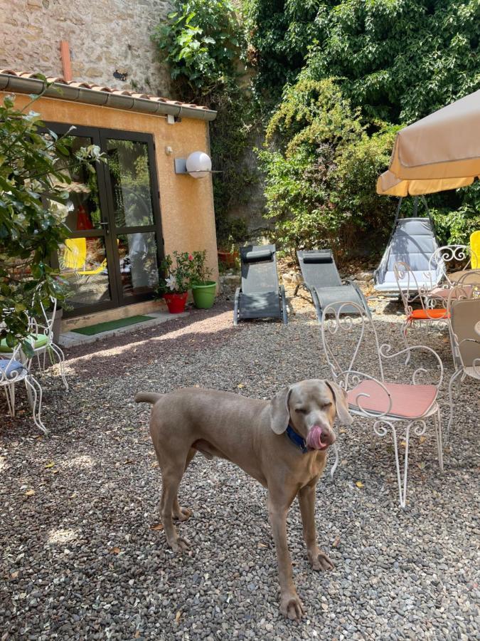 Guest house De Cucugnan