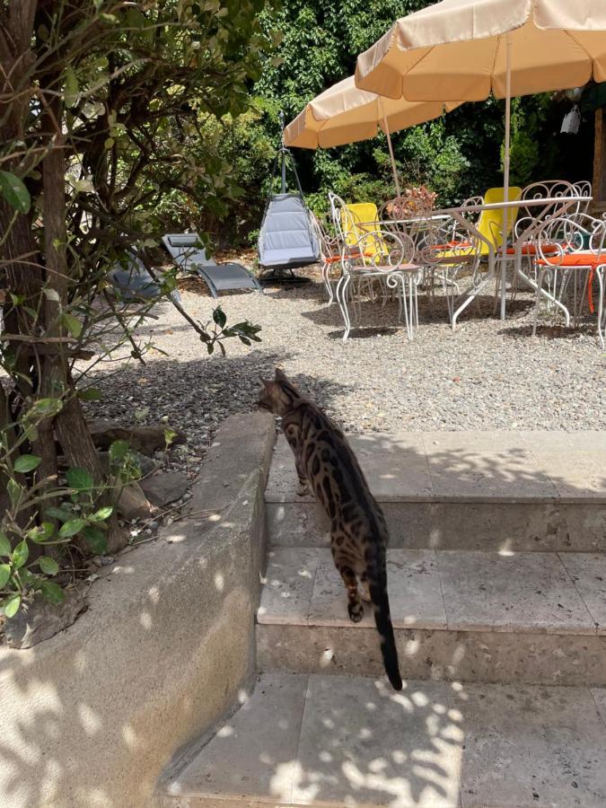 Guest house De Cucugnan